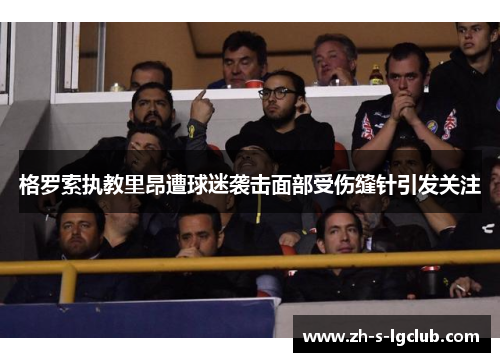 格罗索执教里昂遭球迷袭击面部受伤缝针引发关注
