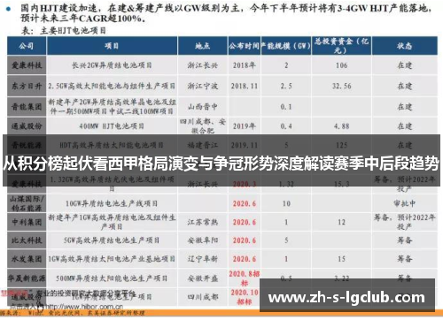 从积分榜起伏看西甲格局演变与争冠形势深度解读赛季中后段趋势 从积分榜起伏看西甲格局演变与争冠形势深度解读赛季中后段趋势